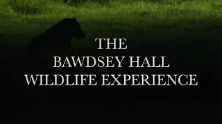 The Bawdsey Hall Wildlife Experience - Night Hide Hire