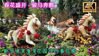 春花盛开之骏马奔腾、新加坡滨海湾花园花穹2026农历马年春花展。Spring Blossoms 2026, Flower Dome, Gardens by the Bay, Singapore.