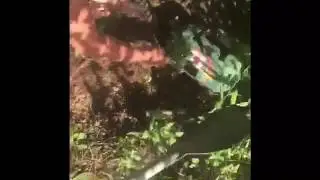 Psycho pirate naval assault