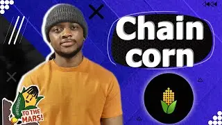 Chaincorn - Have time to buy a token at a bargain price!