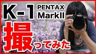 【レビュー】PENTAX K-1 MarkII 新機能を撮ってみた【ともよ。】