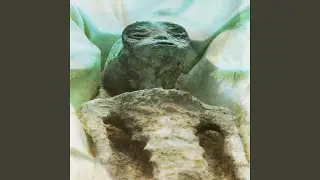 Bojanglez