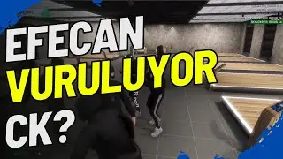 EFECAN VURULUYOR | CK MI VERECEK? | ELVİS KAÇIRMA OPERASYONU | VENNY KESİT