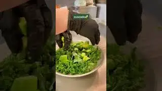 Green Hippo Kale & tofu salad! 🥗 #howtomake #lunchideas #dinnerideas