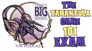 TARANTULA Care 101 Exam - TBS PODCAST