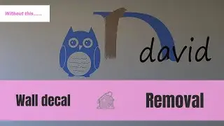 How to remove a wall decal sticker without damaging your paintwork!