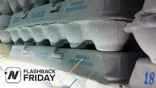 Flashback Friday: Who Says Eggs Aren't Healthy or Safe?