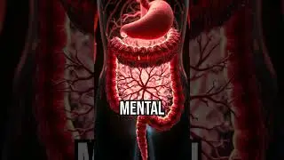 Your gut has a brain! #GutBrain #MentalHealth #FunFact