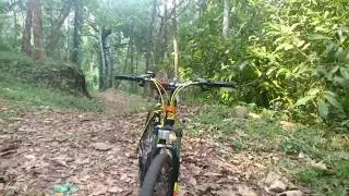 Cosmic Mondo mtb
