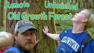 You've Never Seen This Before! | Forest H. Dutlinger Natural Area | Clinton County Pennsylvania