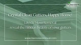 Gutter Whitening By NW Moss Removal