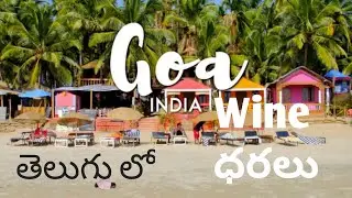 Latest Alcohol Price's in Goa || Goa Liquor  Price In Telugu || Bk Rock #trending #Goaliquorcost