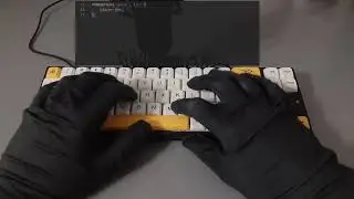 LTC NB 681 Nimbleback &mdash; кейкапы в стиле &laquo;Мёд и молоко&raquo; &mdash; звуковой тест