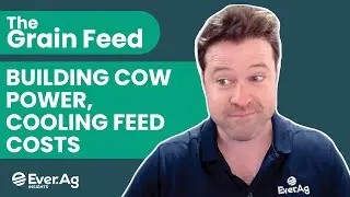 The Grain Feed: Building Cow Power, Cooling Feed Costs