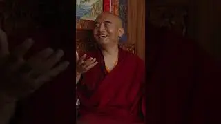 Sleep better and control cravings: Learn from Tibetan Buddhist Master Mingyur Rinpoche #wellbeing