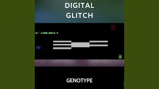 Digital Glitch