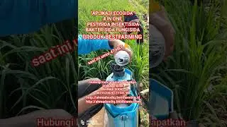 #APLIKASI ECOSIDA BESTFARMING#mantap👍
