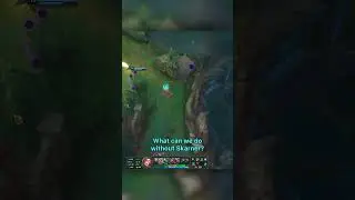 Carrying Team Nemesis