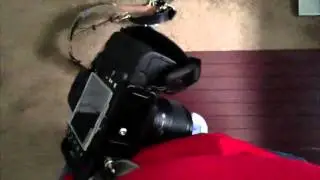 Holdfast Gear or Spider Holster for a Destination Wedding?
