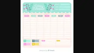 Today I'm going to show my video schedule!
