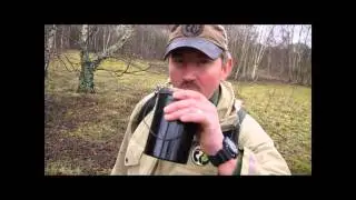 Tapping for Birch Sap