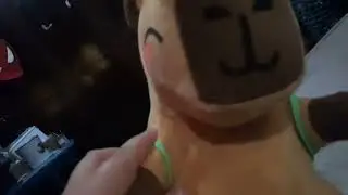La canci&oacute;n  del  capibara Pedro  el pedo y su tortuguita mbape