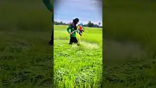 The process of cutting grass thoroughly using a mower #shorts