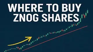 ZNOG Beyond Pink Sheets: Where to Find Shares NOW!