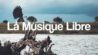 |Musique libre de droits| JediProd - The Flying Assassin