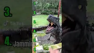 Funny Dinosaur Moments #trending #shorts #funny #top6