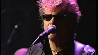 10 jaren zonder Brood 1 Wild Romance feat  Peter Bootsman speelt   home   voor Herman360p VP8 Vorbis