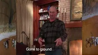 Fox Hunting Horn Sounds