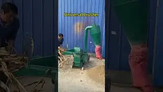 #universalcrusher#corncrusher#strawcrusher#grainmachine#powdermachine #grainmill#hammermill#homeuse