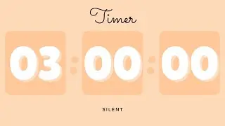 🍊 3 Hours Silent Timer with Cute Ending Alarm | Pastel Orange Timer