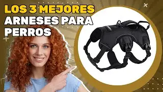 Los 3 mejores arneses para perros 2025: comparaci&oacute;n sencilla para una elecci&oacute;n segura