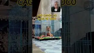 THE BEAUTY OF COCO'S CAGE #COCO #highlights