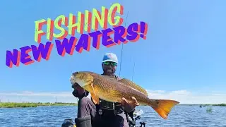 I've Never Fished Here Before... Catching Redfish During Very Windy Conditions!
