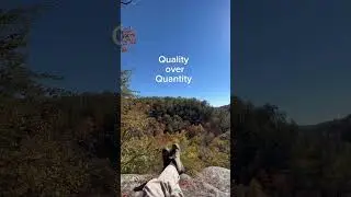 Presence over Productivity & Other Mindset Shifts