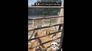 Israeli soldiers destroyed a cemetery in Gaza