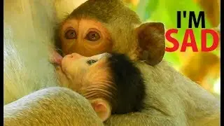 FULL TEAR IN EYES !! I'M SAD | Janet so sad mom not feed milk with sister same time.