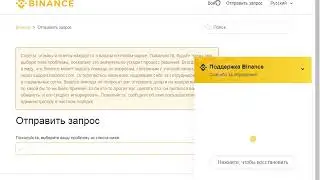 BINANCE, CS ALINA - problem for login