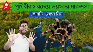 এই মাকড়সার কামড়েই মৃত্যু! 😱 | Brazilian Wandering Spider Explained in Bangla #viral #trending