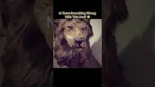 Is There Something Wrong With This Lion? 😰 #creepy
