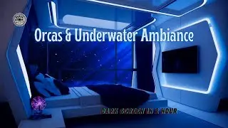 Orca Calls & Underwater Ambiance | Calming Ocean Sounds for Deep Sleep & Relaxation | 12 Hours