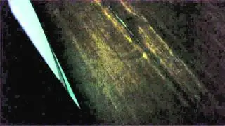 Semiosphere