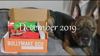 BullyMake Box Unboxing || December 2019