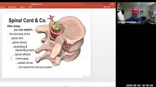Integration Spinal Cord w/BrainQuiz
