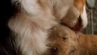 Fluke (1995): 1:33 - 2:49 (1080p)