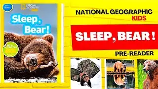 Sleep, Bear! | Pre Reader By National Geographic | Animals