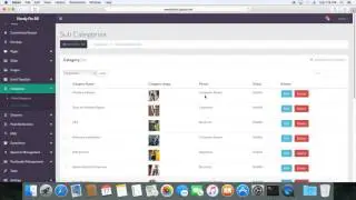 Uber for X - Handyforall Admin Video - Draft Version